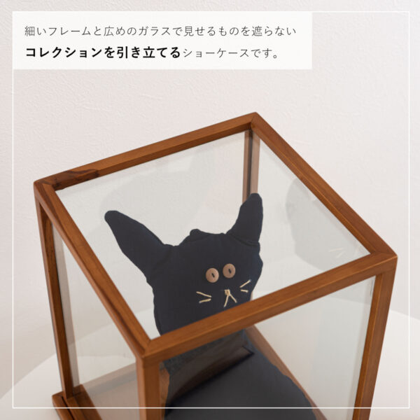 クラシックショーケース