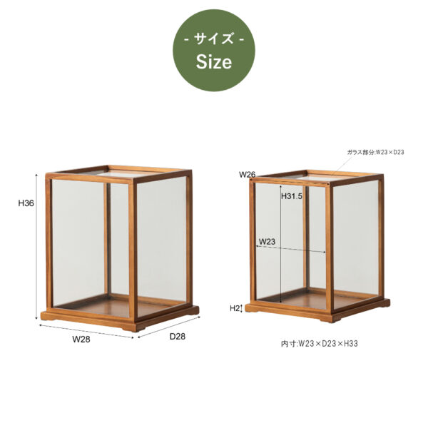 クラシックショーケース