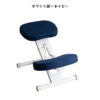 chw88w-nv