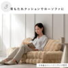 sf-1650-06-1
